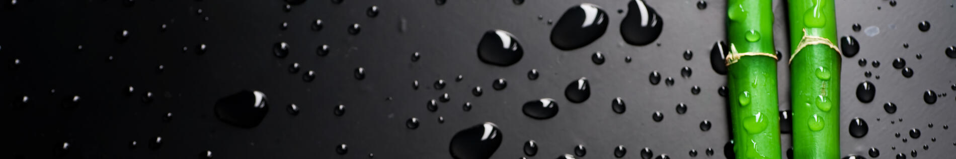 weallty banner